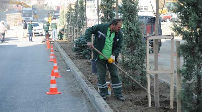 BAHABEY CADDESİ VE KEREBİ GAZİ CADDESİNE YEŞİL REFÜJ 