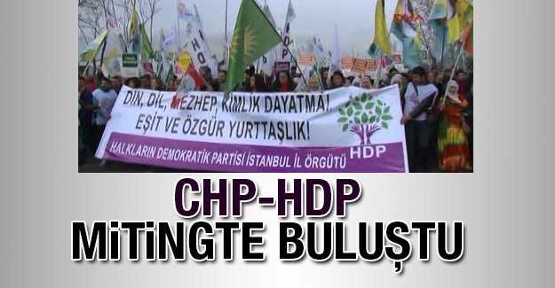 CHP ve HDP'den ortak miting