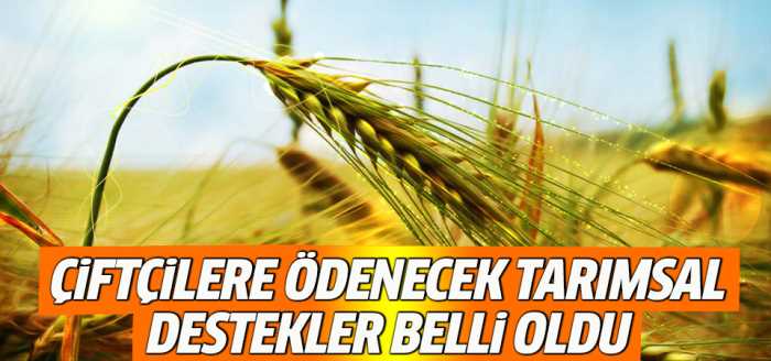 Çiftçilere ödenecek destekler belli oldu