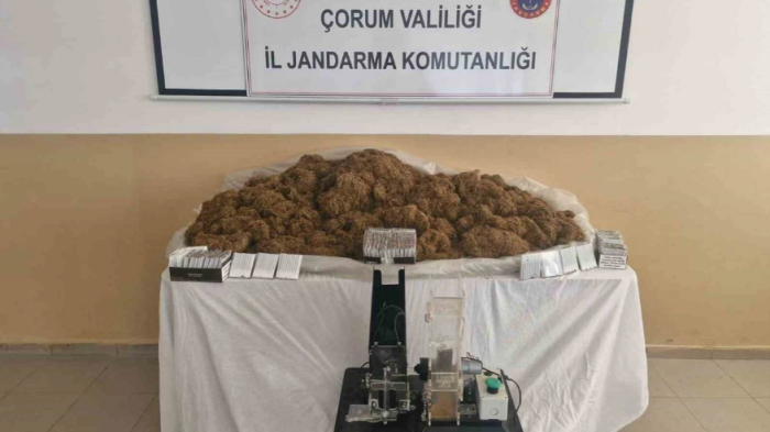 Çorum | Alaca'da Binlerce Makaran Ele Geçirildi!