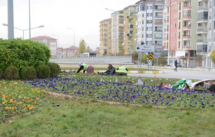 Çorum'a 50 Bin Hercai 