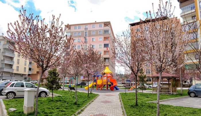 Çorum Belediyesi, tarafından şehrin dört bir tarafına dikilen 16.000 ağaç, bahar ayının gelmesi ile birlikte rengârenk çiçek açtı.