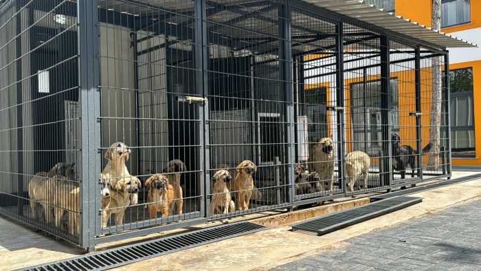 Çorum Belediyesi 5 Personeli Açığa Aldı!