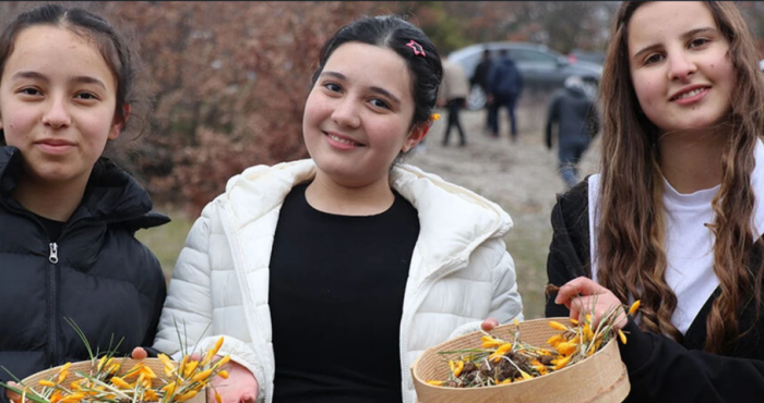 Çorum'da “Çiğdem Gezmesi” Etkinliği!