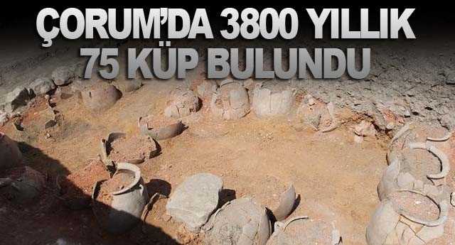 Çorum'da 3800 yıllık 75 Küp bulundu 