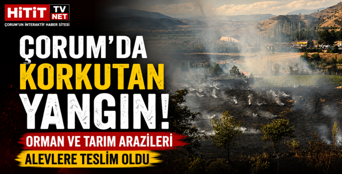 Çorum'da Korkutan Yangın! Orman ve Tarım Arazileri Alevlere Teslim Oldu