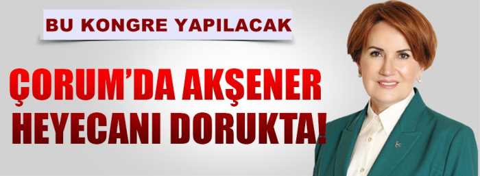 Çorum'da MHP'lileri Meral Akşener heyecanı sardı