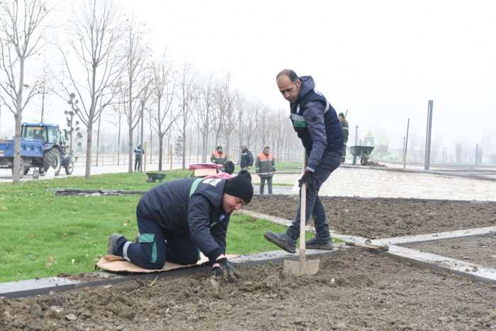 Çorum Kentpark’ta gül bahçesi oluşturuldu