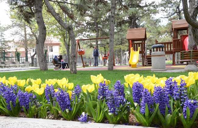 ÇORUM'UN  PARK VE BAHÇELERİNDE LALE DEVRİ