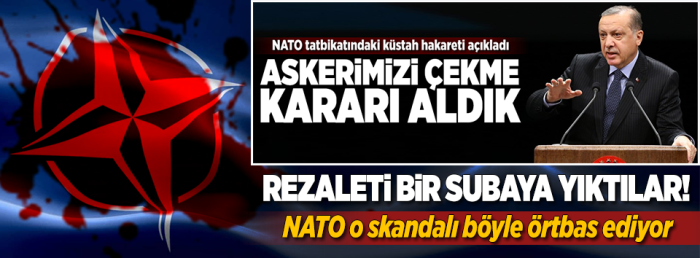 Cumhurbaşkanı tepki gösterdi, NATO o subayı ordudan attı