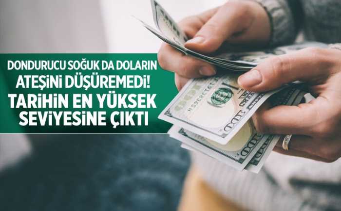 Dolar/TL rekorunu 3,7387'ye taşıdı