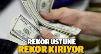 Dolardan yeni Türkiye rekoru
