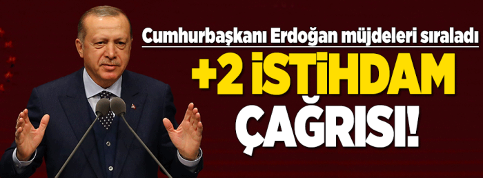 Erdoğan'dan +2 istihdam çağrısı!