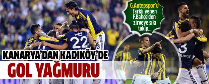 Fenerbahçe 3 - 0 Gaziantepspor