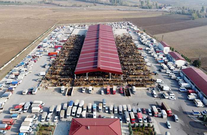 Hayvan Pazarının Kapatılmasıyla ilgili Tedbir Kararları
