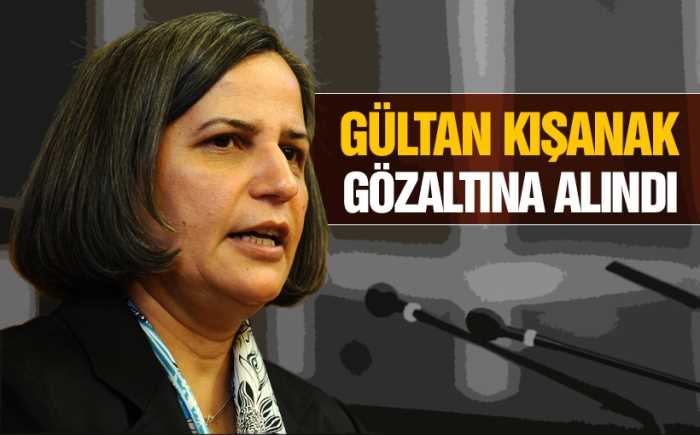 Kışanak gözaltına alındı