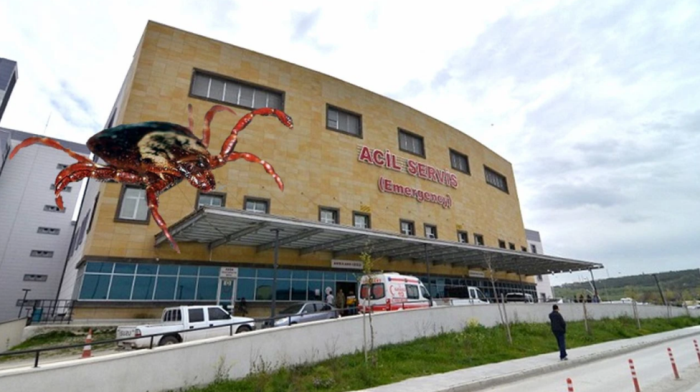 KKKA Aşısında Büyük Müjde!