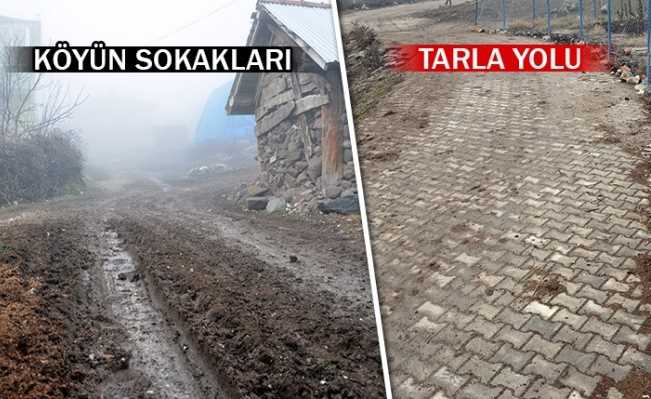 Köy Muhtarı sokak yerine tarla yoluna parke taşı döşetti