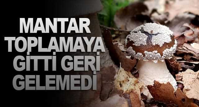 Mantar Toplamaya gitti geri gelmedi