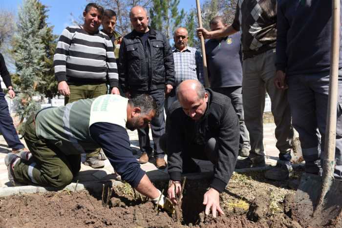 Mezarlıklara 5 Bin Gül Dikildi