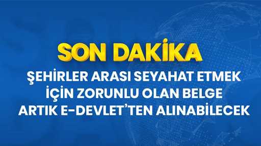 Seyahat İzin belgesi e-Devlet'ten alabilirsiniz