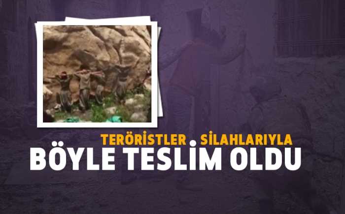 Siirt'te 6 PKK'lı terörist teslim oldu