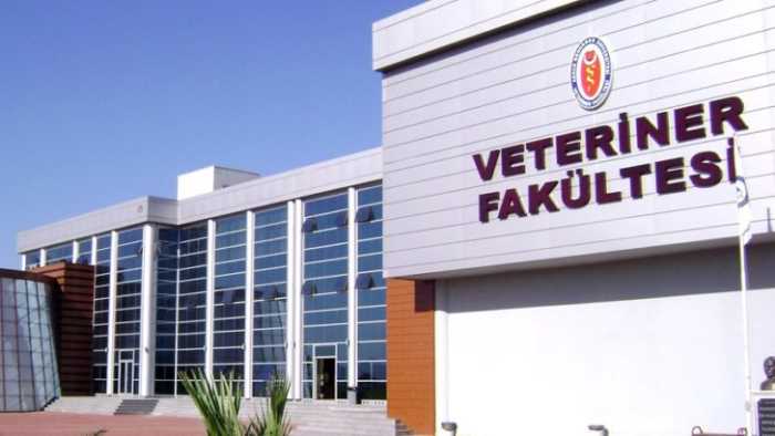 Veteriner Fakültesi için Çalışmalar başladı