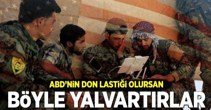 YPG-PYD TERÖRİSTLERİ ÖSO'NA  BÖYLE YALVARDI! 